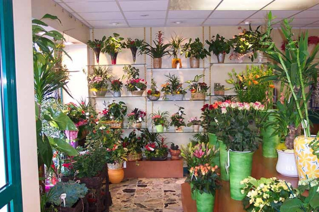 Gauquelin conde-en-normandie