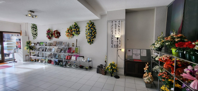 Pfs bertheau l isle-en-dodon