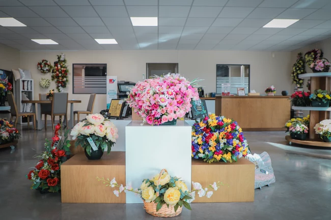 Apf aliaga saint-jean-de-vedas