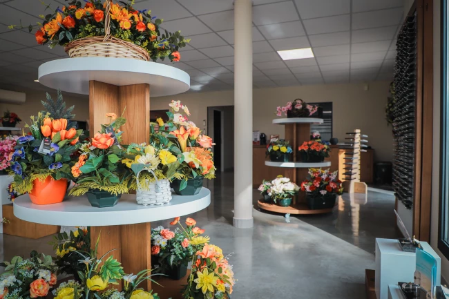 Apf aliaga saint-jean-de-vedas