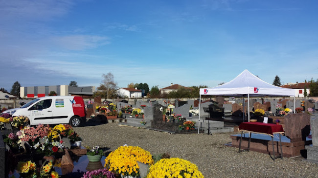 Vasquez tarbes