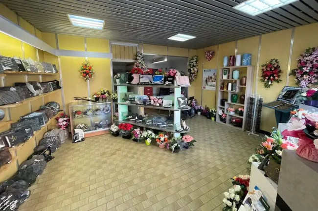 Angeriennes aulnay