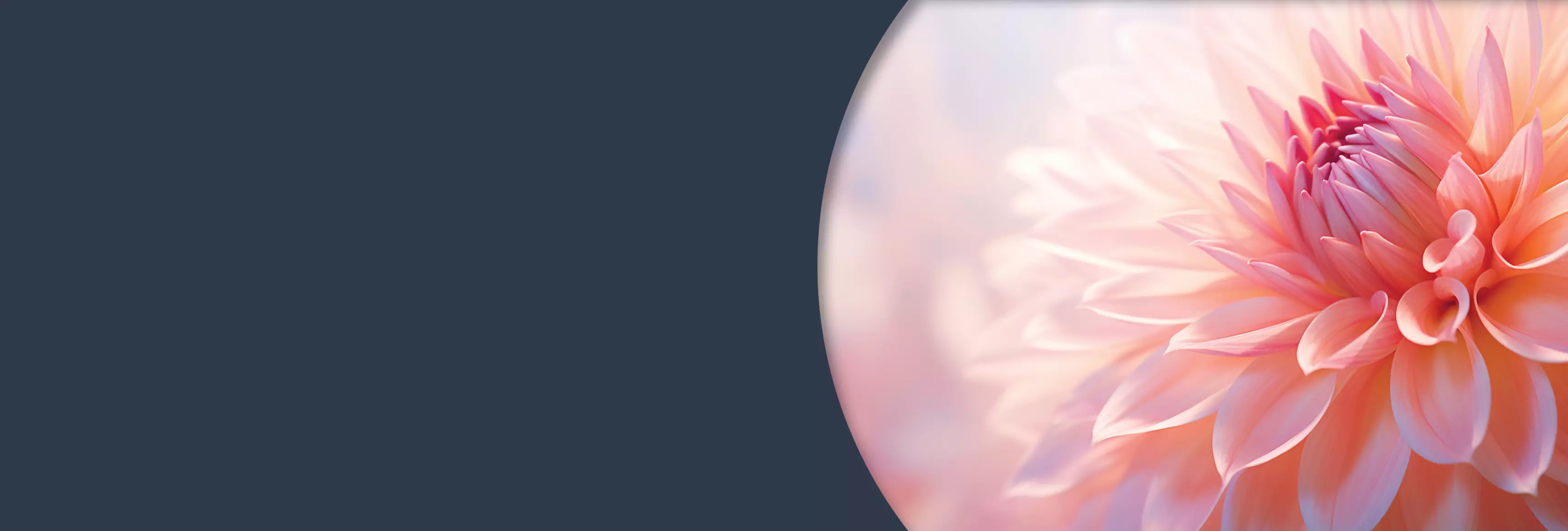 Notre métier, être à vos côtés