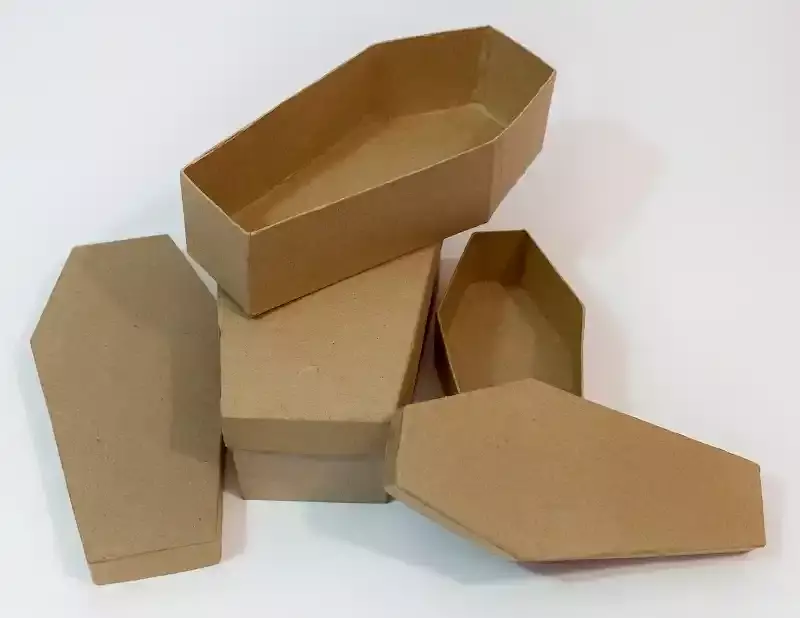 cercueil en carton