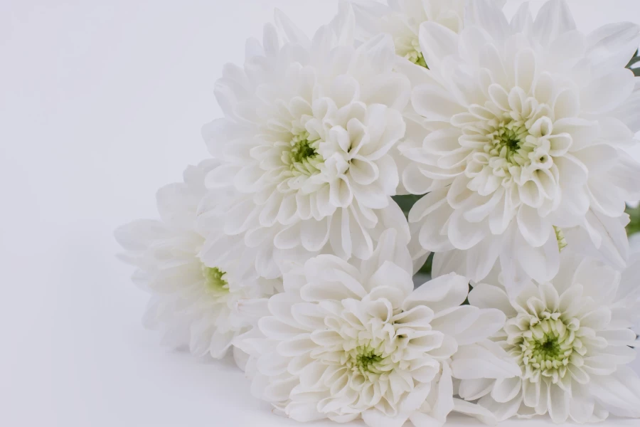 Remerciements de condoléances